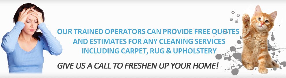 Carpet Stain Remover